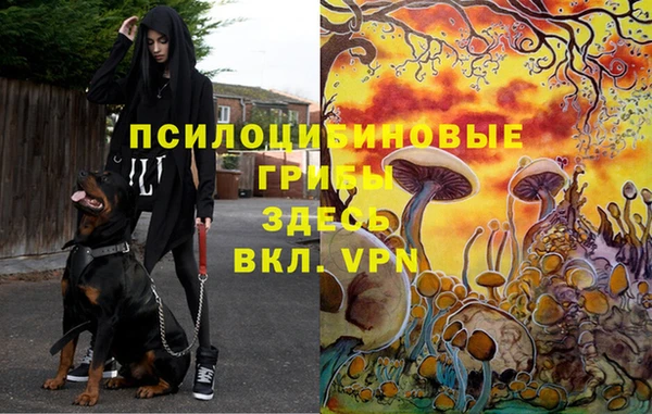 соль курить ск Верея