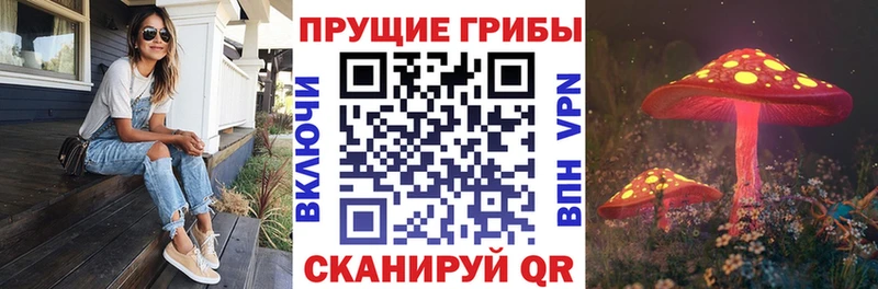 Галлюциногенные грибы GOLDEN TEACHER  МЕГА вход  Славянск-на-Кубани 